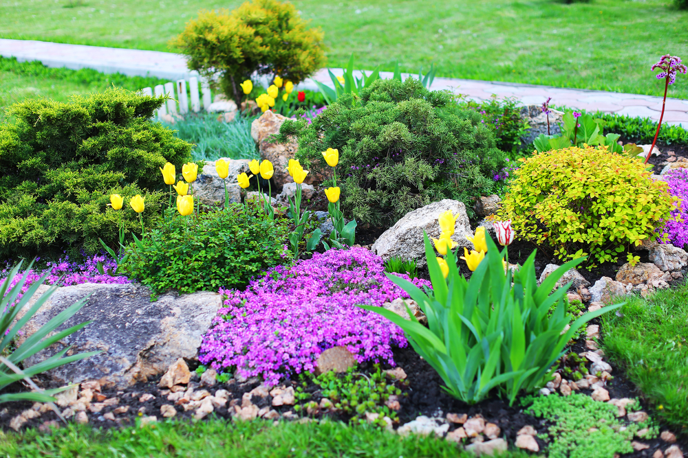 Blog Image Banner
